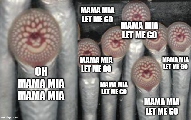 Creatues Of God |  MAMA MIA LET ME GO; MAMA MIA LET ME GO; MAMA MIA LET ME GO; MAMA MIA LET ME GO; OH MAMA MIA MAMA MIA; MAMA MIA LET ME GO; MAMA MIA LET ME GO | image tagged in animals,funny animals,bohemian rhapsody,choir,funny | made w/ Imgflip meme maker