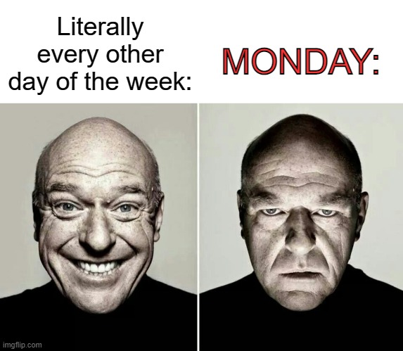 Literally every other day of the week:; MONDAY: | image tagged in guy smiling then frowning,i hate mondays | made w/ Imgflip meme maker