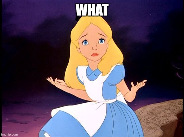 Alice in Wonderland | WHAT | image tagged in alice in wonderland | made w/ Imgflip meme maker