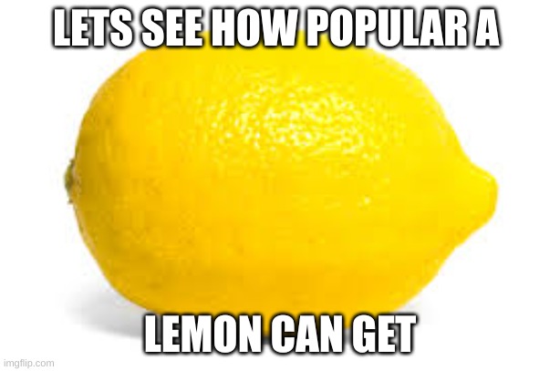 go ahead and call it begging i honestly dont care | LETS SEE HOW POPULAR A; LEMON CAN GET | image tagged in memes | made w/ Imgflip meme maker
