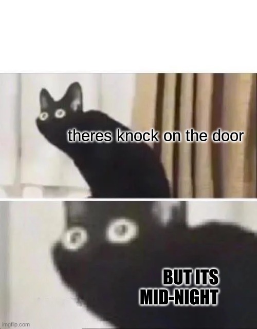 oh no |  theres knock on the door; BUT ITS MID-NIGHT | image tagged in oh no black cat,door,night,midnight,death knocking at the door | made w/ Imgflip meme maker