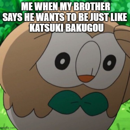 why... | ME WHEN MY BROTHER SAYS HE WANTS TO BE JUST LIKE 
 KATSUKI BAKUGOU | image tagged in rowlet meme template | made w/ Imgflip meme maker