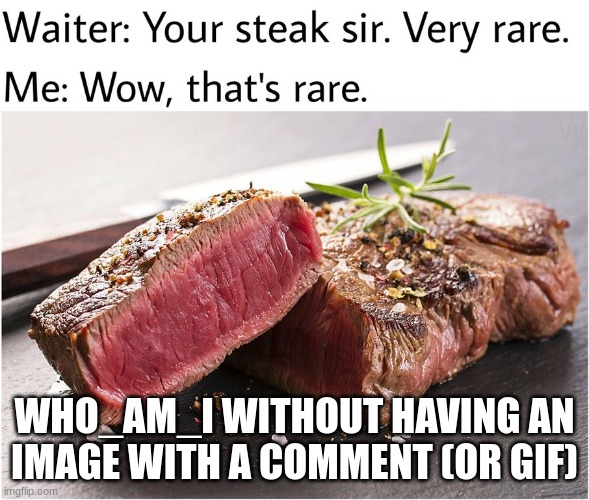 rare steak meme | WHO_AM_I WITHOUT HAVING AN IMAGE WITH A COMMENT (OR GIF) | image tagged in rare steak meme | made w/ Imgflip meme maker