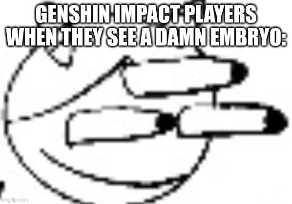 Idiot Staring | GENSHIN IMPACT PLAYERS WHEN THEY SEE A DAMN EMBRYO: | image tagged in idiot staring | made w/ Imgflip meme maker