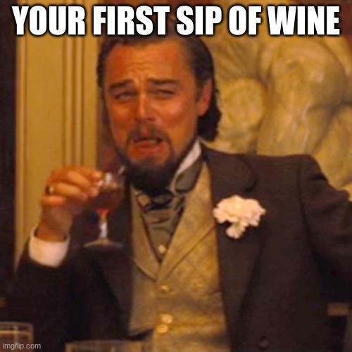 Laughing Leo Meme | YOUR FIRST SIP OF WINE | image tagged in memes,laughing leo | made w/ Imgflip meme maker