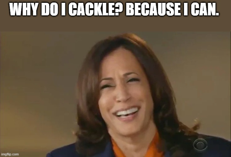WHAT A MOOK | WHY DO I CACKLE? BECAUSE I CAN. | made w/ Imgflip meme maker