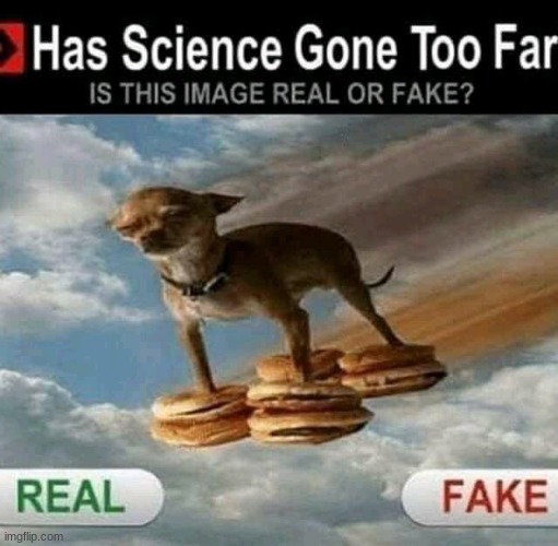 I think it might be real... | image tagged in science,dog,cursed image,oh wow are you actually reading these tags | made w/ Imgflip meme maker