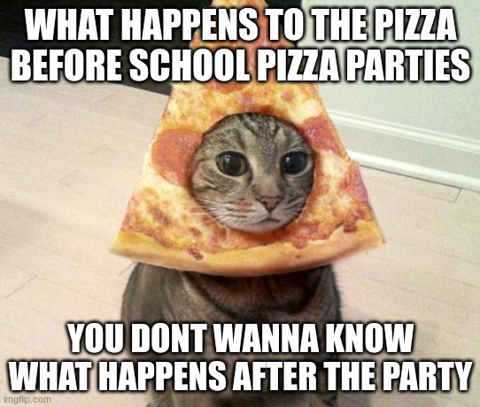 pizza cat | WHAT HAPPENS TO THE PIZZA BEFORE SCHOOL PIZZA PARTIES; YOU DONT WANNA KNOW WHAT HAPPENS AFTER THE PARTY | image tagged in pizza cat | made w/ Imgflip meme maker
