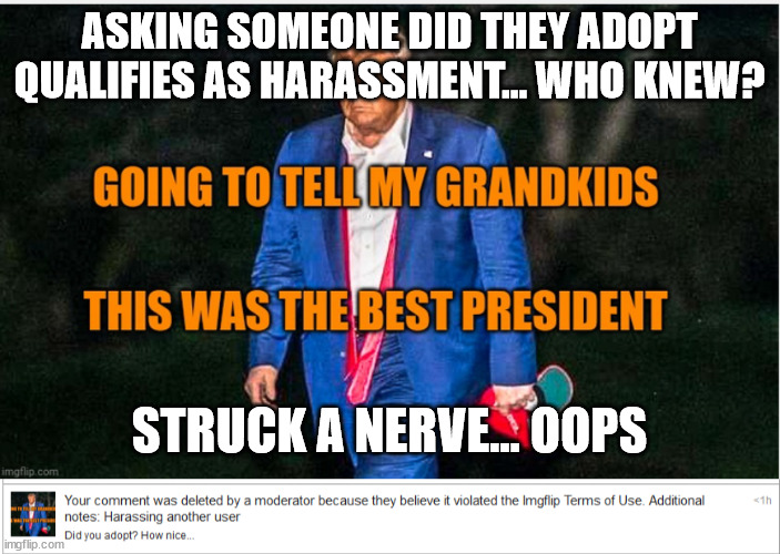 Whiners gotta whine... LOL | ASKING SOMEONE DID THEY ADOPT QUALIFIES AS HARASSMENT... WHO KNEW? STRUCK A NERVE... OOPS | image tagged in ridiculous,snowflakes | made w/ Imgflip meme maker