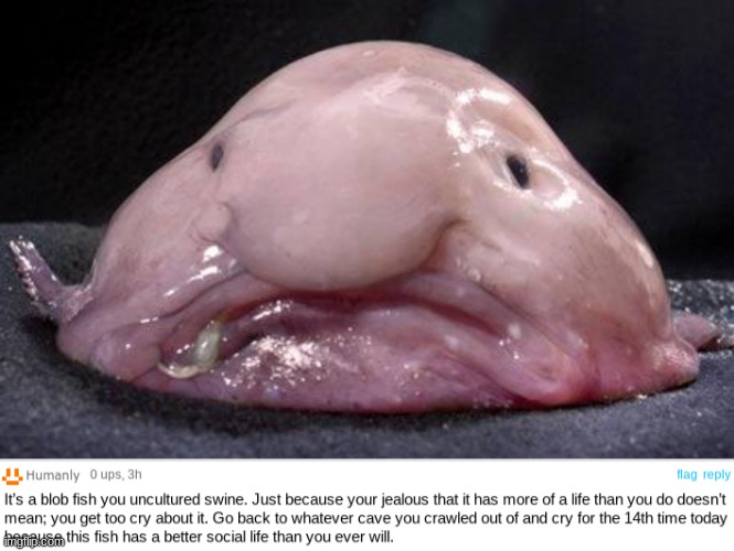 when its true though | image tagged in blobfish | made w/ Imgflip meme maker