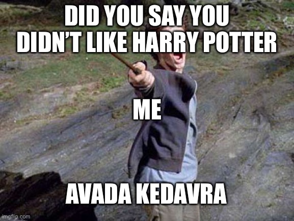 Harry Potter Yelling | DID YOU SAY YOU DIDN’T LIKE HARRY POTTER; ME; AVADA KEDAVRA | image tagged in harry potter yelling | made w/ Imgflip meme maker