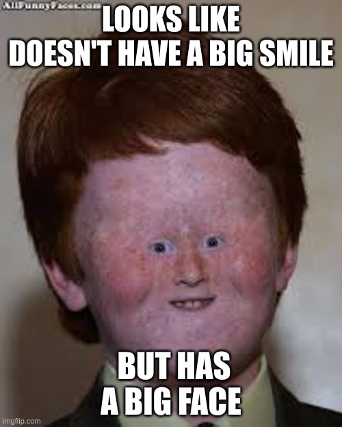 LOOKS LIKE DOESN'T HAVE A BIG SMILE; BUT HAS A BIG FACE | image tagged in funny memes | made w/ Imgflip meme maker
