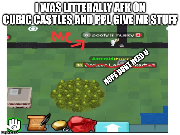 idk y maybe cuz im rping as a dog | I WAS LITTERALLY AFK ON CUBIC CASTLES AND PPL GIVE ME STUFF; NOPE DONT NEED U | image tagged in husky | made w/ Imgflip meme maker