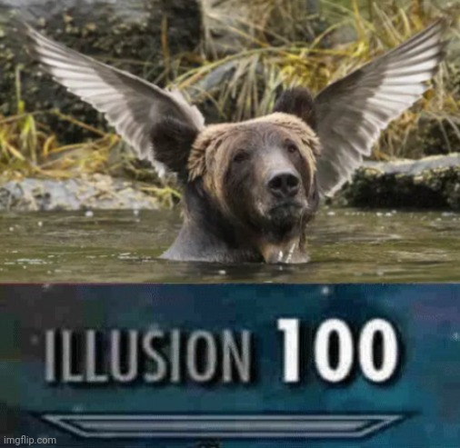 Bird placed behind a bear | image tagged in illusion 100,funny,memes,funny memes,gifs,bear | made w/ Imgflip meme maker
