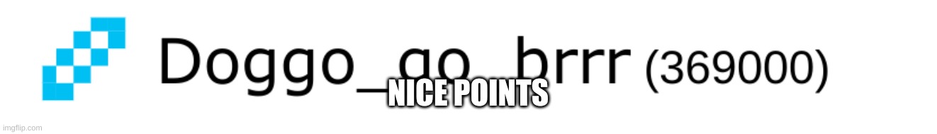 doggo go brrr | NICE POINTS | image tagged in 369 | made w/ Imgflip meme maker