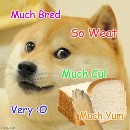Doge | Much Bred; So Weat; Much Cul; Very :O; Much Yum | image tagged in memes,doge | made w/ Imgflip meme maker