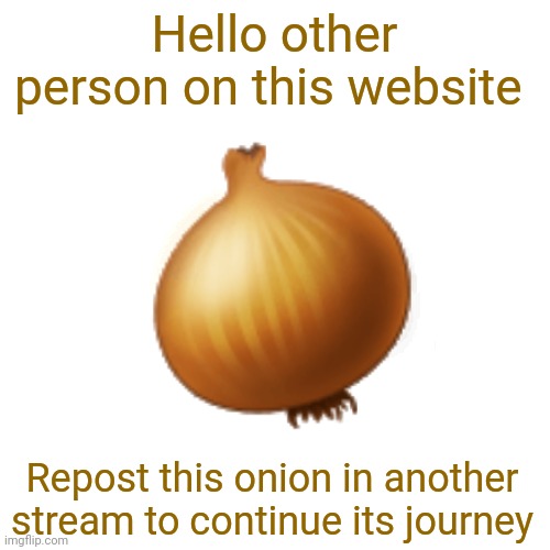 Blank Transparent Square Meme | Hello other person on this website; 🧅; Repost this onion in another stream to continue its journey | image tagged in memes,blank transparent square | made w/ Imgflip meme maker