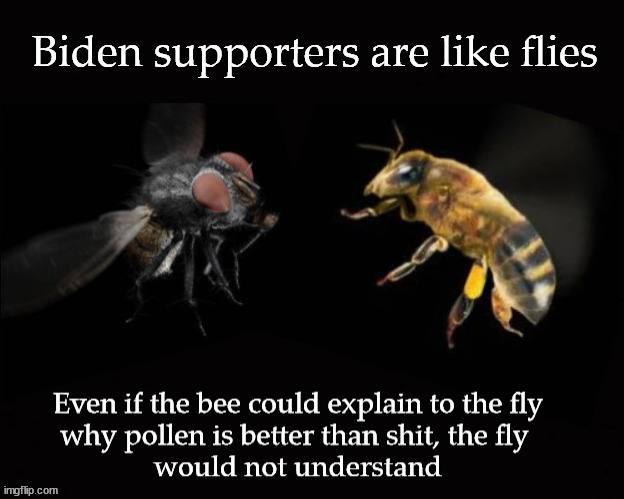 Biden supporters are like flies | image tagged in biden | made w/ Imgflip meme maker