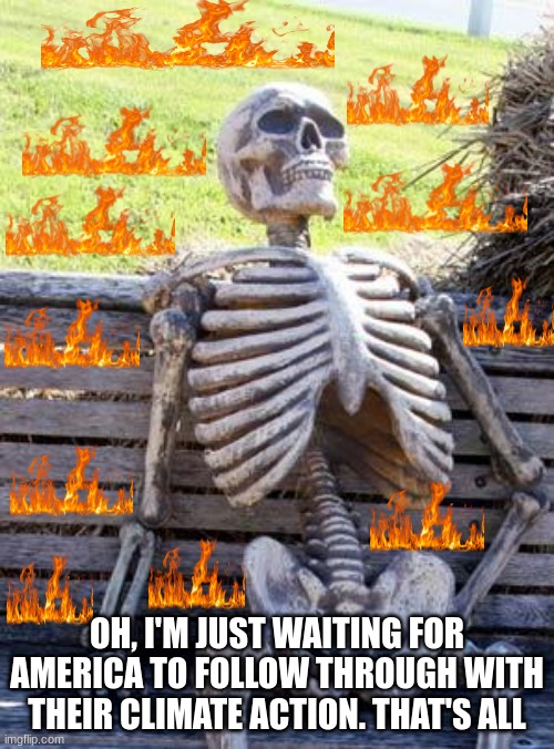 Waiting Skeleton | OH, I'M JUST WAITING FOR AMERICA TO FOLLOW THROUGH WITH THEIR CLIMATE ACTION. THAT'S ALL | image tagged in memes,waiting skeleton | made w/ Imgflip meme maker