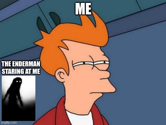 Futurama Fry Meme | ME; THE ENDERMAN STARING AT ME | image tagged in memes,futurama fry | made w/ Imgflip meme maker
