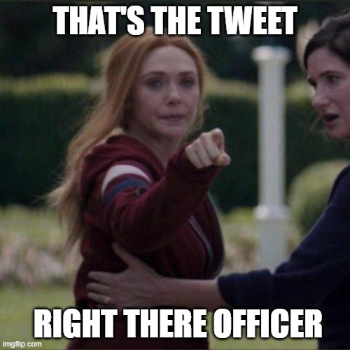 I've seen some shit on Twitter... | THAT'S THE TWEET; RIGHT THERE OFFICER | image tagged in twitter | made w/ Imgflip meme maker