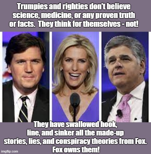 A bunch of morons? | Trumpies and righties don't believe science, medicine, or any proven truth or facts.  They think for themselves - not! They have swallowed hook, line, and sinker all the made-up stories, lies, and conspiracy theories from Fox.
  Fox owns them! | image tagged in two sides to every story,liars,no one is always correct,they fooled you,fox hosts crave attention,you lose | made w/ Imgflip meme maker