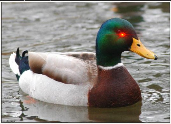 Actual Advice Mallard Meme | image tagged in memes,actual advice mallard | made w/ Imgflip meme maker