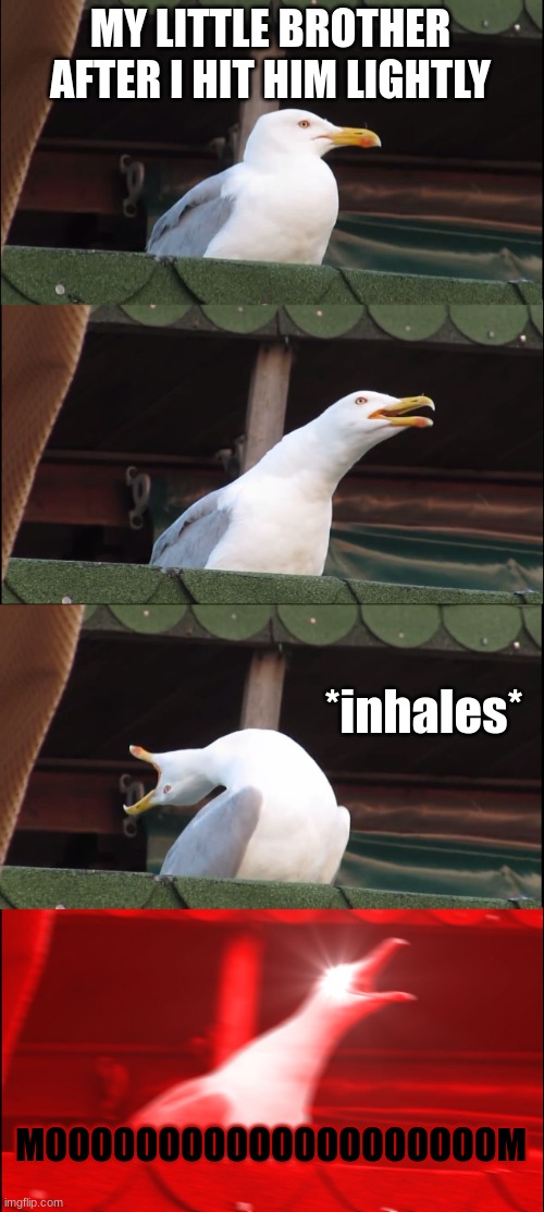 Inhaling Seagull | MY LITTLE BROTHER AFTER I HIT HIM LIGHTLY; *inhales*; MOOOOOOOOOOOOOOOOOOOOM | image tagged in memes,inhaling seagull | made w/ Imgflip meme maker