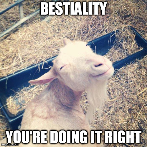 BESTIALITY YOU'RE DOING IT RIGHT | image tagged in satisfaction goat,AdviceAnimals | made w/ Imgflip meme maker