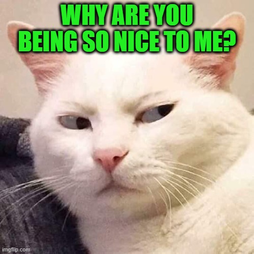 Watch Out for Hidden Agendas | WHY ARE YOU BEING SO NICE TO ME? | image tagged in shifty-eyed cat | made w/ Imgflip meme maker