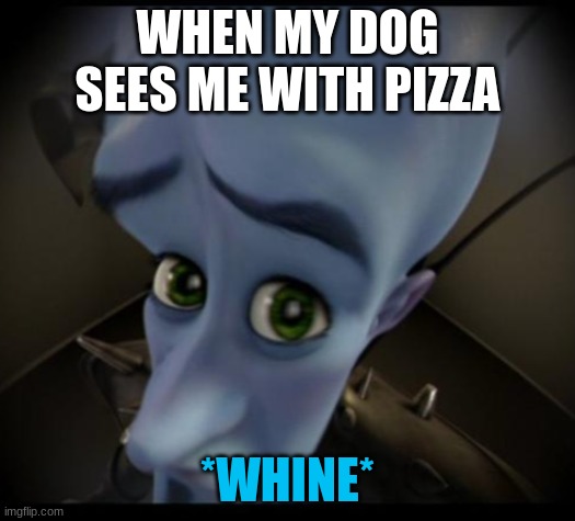 Megamind peeking | WHEN MY DOG SEES ME WITH PIZZA; *WHINE* | image tagged in no bitches | made w/ Imgflip meme maker