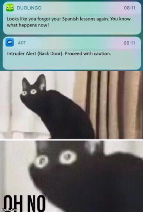 OH NOES | image tagged in duolingo text message,oh no cat,he has arrived | made w/ Imgflip meme maker
