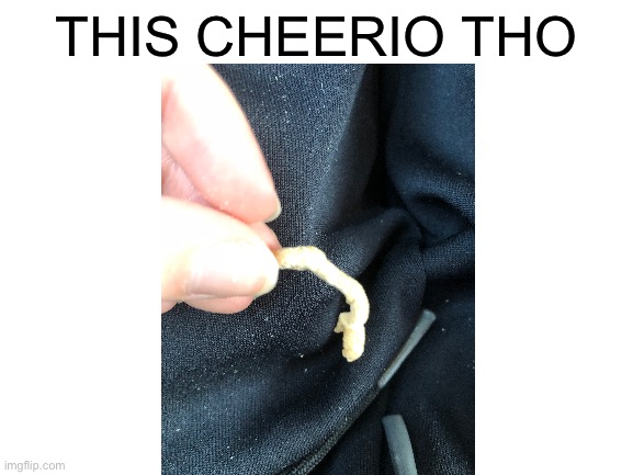 : / | THIS CHEERIO THO | image tagged in blank white template | made w/ Imgflip meme maker