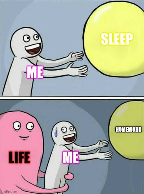 LIFE | SLEEP; ME; HOMEWORK; LIFE; ME | image tagged in memes,running away balloon | made w/ Imgflip meme maker