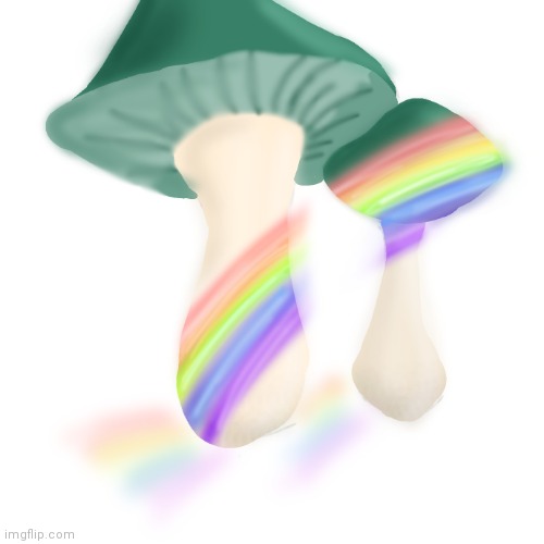 Gay mushrooms | image tagged in mushrooms | made w/ Imgflip meme maker