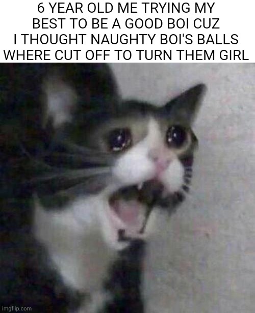 Bullshit, now i know its all chromosomes | 6 YEAR OLD ME TRYING MY BEST TO BE A GOOD BOI CUZ I THOUGHT NAUGHTY BOI'S BALLS WHERE CUT OFF TO TURN THEM GIRL | image tagged in cat screaming,pain,childhood | made w/ Imgflip meme maker