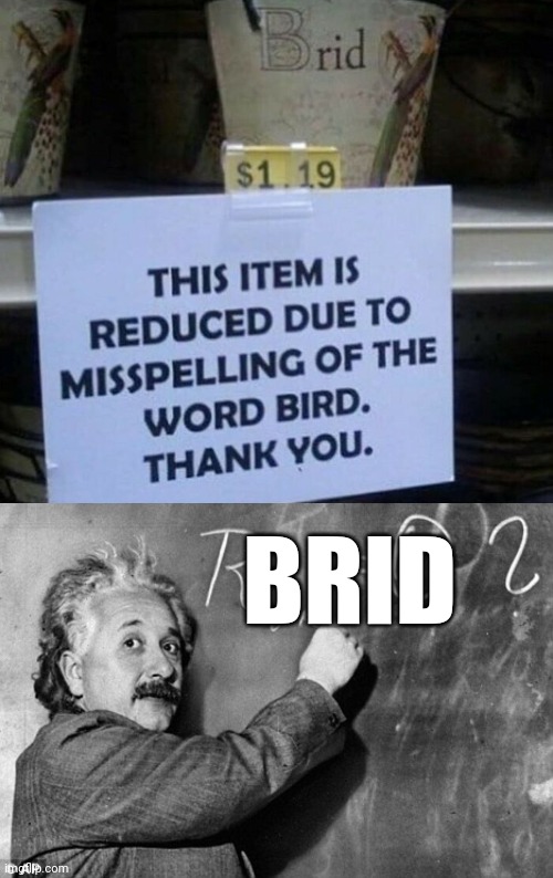 You had one job Brid | BRID | image tagged in smart,bird,misspelled,fun,funny,meme | made w/ Imgflip meme maker
