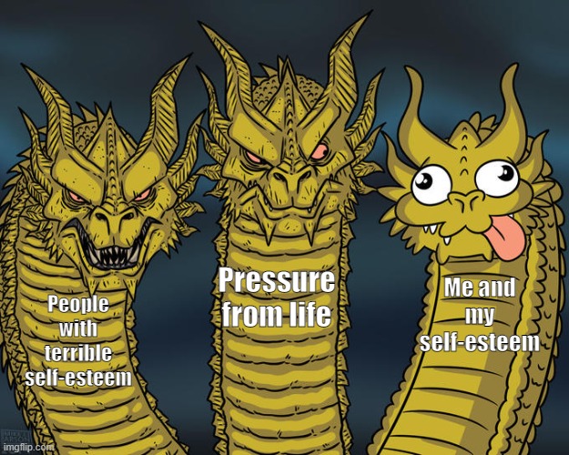 :D | Pressure from life; Me and my self-esteem; People with terrible self-esteem | image tagged in three-headed dragon | made w/ Imgflip meme maker