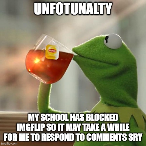 sry | UNFOTUNALTY; MY SCHOOL HAS BLOCKED IMGFLIP SO IT MAY TAKE A WHILE FOR ME TO RESPOND TO COMMENTS SRY | image tagged in memes,but that's none of my business,kermit the frog | made w/ Imgflip meme maker