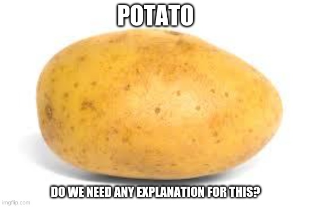 Potato | POTATO; DO WE NEED ANY EXPLANATION FOR THIS? | image tagged in potato | made w/ Imgflip meme maker