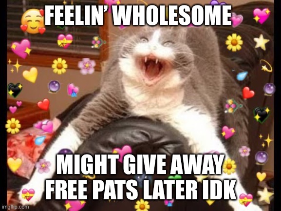 M e o w | FEELIN’ WHOLESOME; MIGHT GIVE AWAY FREE PATS LATER IDK | image tagged in wholesome cat | made w/ Imgflip meme maker
