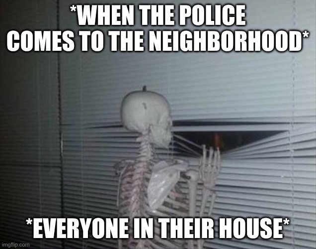 Skeleton looking outside | *WHEN THE POLICE COMES TO THE NEIGHBORHOOD*; *EVERYONE IN THEIR HOUSE* | image tagged in memes | made w/ Imgflip meme maker
