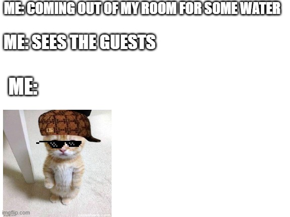 kool kat | ME: COMING OUT OF MY ROOM FOR SOME WATER; ME: SEES THE GUESTS; ME: | image tagged in blank white template | made w/ Imgflip meme maker