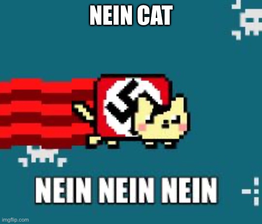 Nein Nein Nein Nein Nein Nein | NEIN CAT | image tagged in nyan cat | made w/ Imgflip meme maker