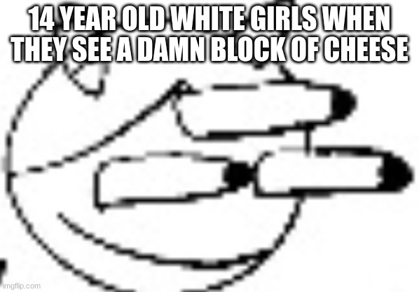 "iNTrOdUcInG: cHeEsEsExUaL" | 14 YEAR OLD WHITE GIRLS WHEN THEY SEE A DAMN BLOCK OF CHEESE | made w/ Imgflip meme maker