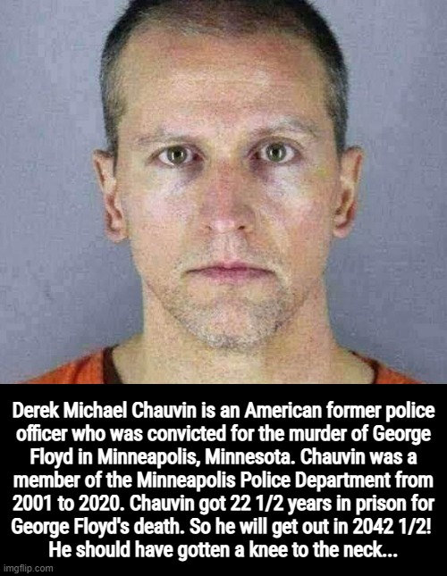 Killer Kop Knee | Derek Michael Chauvin is an American former police
officer who was convicted for the murder of George
Floyd in Minneapolis, Minnesota. Chauvin was a
member of the Minneapolis Police Department from
2001 to 2020. Chauvin got 22 1/2 years in prison for
George Floyd's death. So he will get out in 2042 1/2! 
He should have gotten a knee to the neck... | image tagged in killer,cop,knee,kneel,black,neck | made w/ Imgflip meme maker