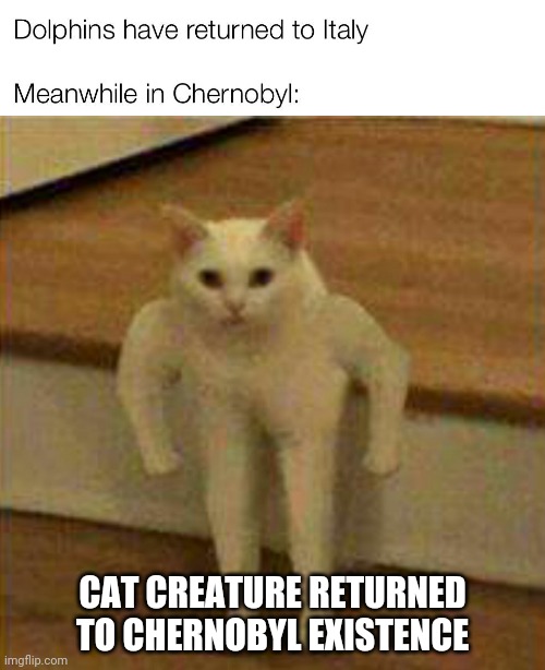CAT CREATURE RETURNED TO CHERNOBYL EXISTENCE | made w/ Imgflip meme maker