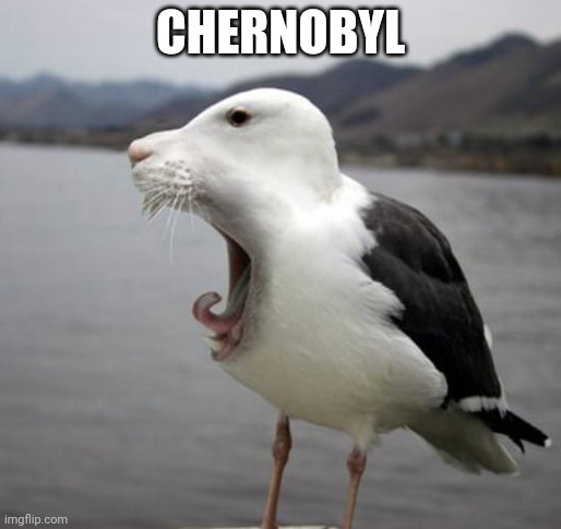 CHERNOBYL | made w/ Imgflip meme maker