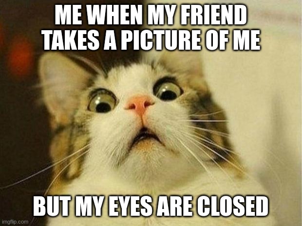 Scared Cat | ME WHEN MY FRIEND TAKES A PICTURE OF ME; BUT MY EYES ARE CLOSED | image tagged in memes,scared cat | made w/ Imgflip meme maker