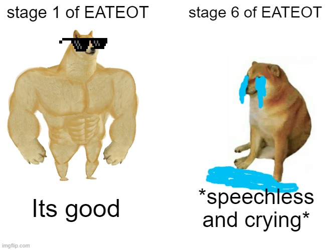 Buff Doge vs. Cheems | stage 1 of EATEOT; stage 6 of EATEOT; Its good; *speechless and crying* | image tagged in memes,buff doge vs cheems | made w/ Imgflip meme maker
